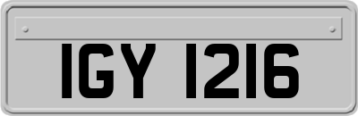 IGY1216