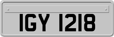 IGY1218