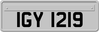 IGY1219