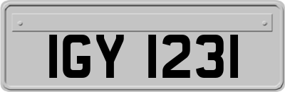 IGY1231