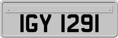 IGY1291
