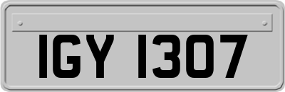 IGY1307
