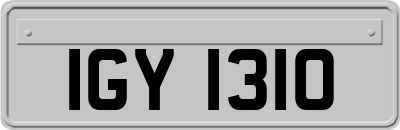 IGY1310