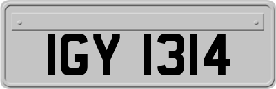 IGY1314