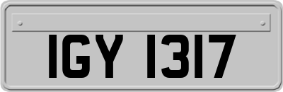 IGY1317