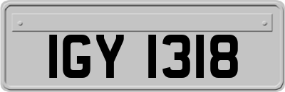 IGY1318