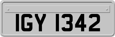 IGY1342