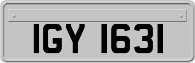 IGY1631