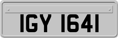 IGY1641