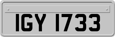 IGY1733