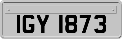IGY1873