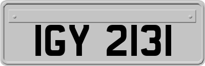 IGY2131