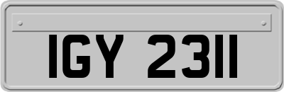 IGY2311