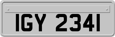IGY2341