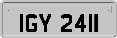 IGY2411