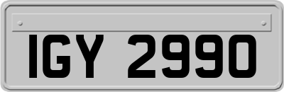 IGY2990