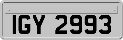IGY2993