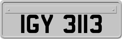 IGY3113