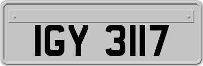 IGY3117