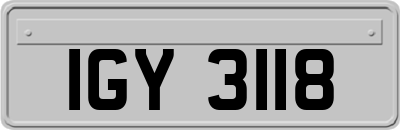 IGY3118