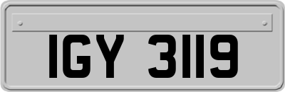 IGY3119