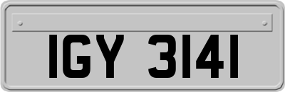 IGY3141