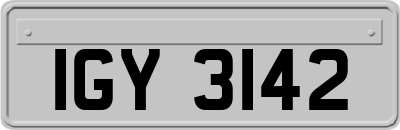 IGY3142