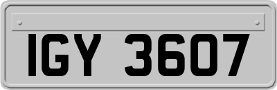 IGY3607