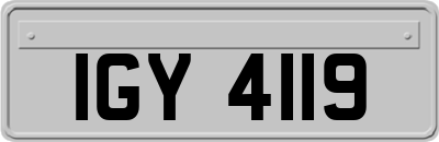 IGY4119