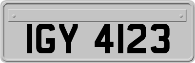 IGY4123