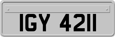 IGY4211