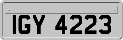 IGY4223