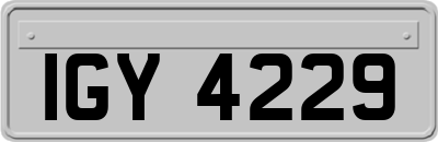 IGY4229