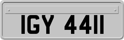 IGY4411