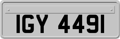 IGY4491