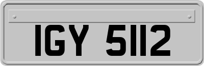 IGY5112