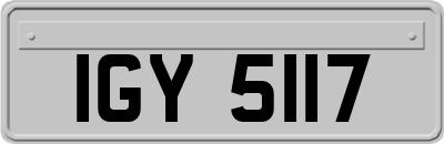 IGY5117