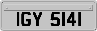 IGY5141