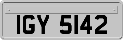 IGY5142