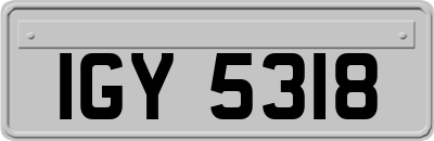 IGY5318
