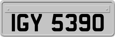 IGY5390
