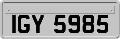 IGY5985