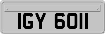 IGY6011