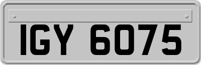 IGY6075