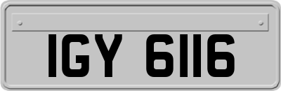 IGY6116