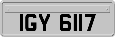 IGY6117