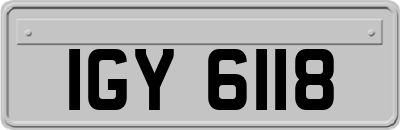 IGY6118