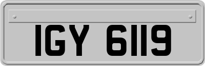 IGY6119