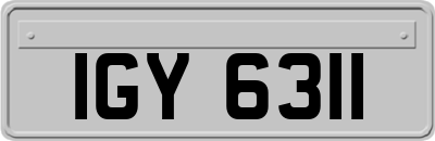 IGY6311