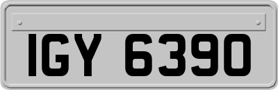 IGY6390